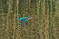 19 03 15_2488_edited-1